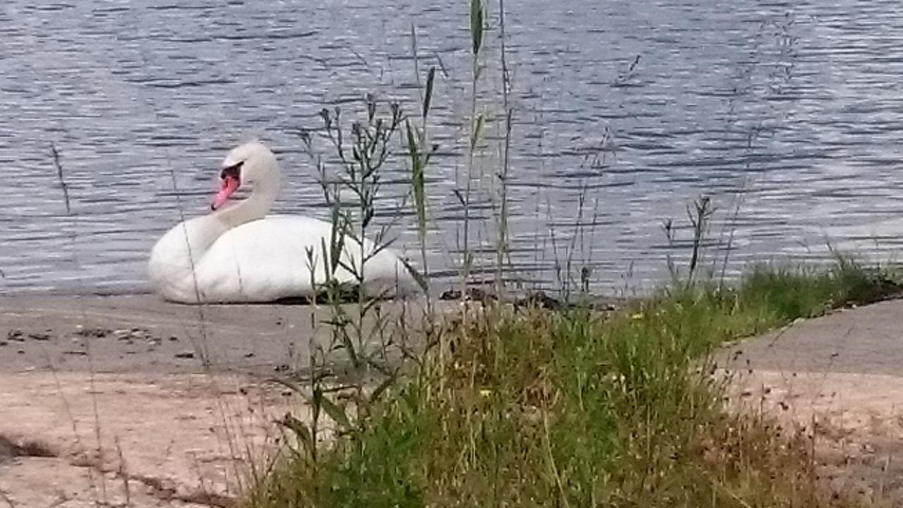 Salno Gard Hotel Bylehamn Eksteriør billede